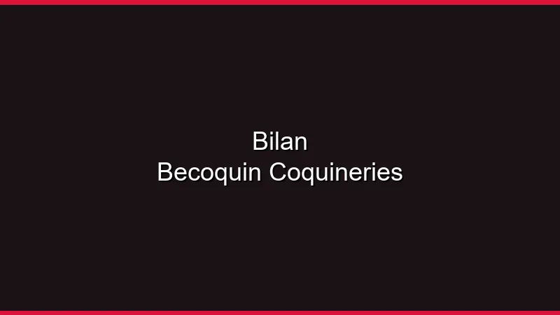 Bilan BeCoquin : la plateforme coquine au crible