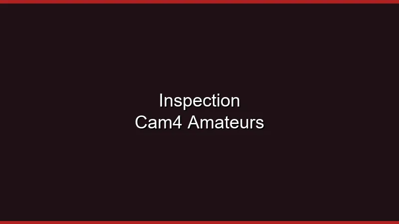 Inspection Cam4 : le paradis des amateurs ?