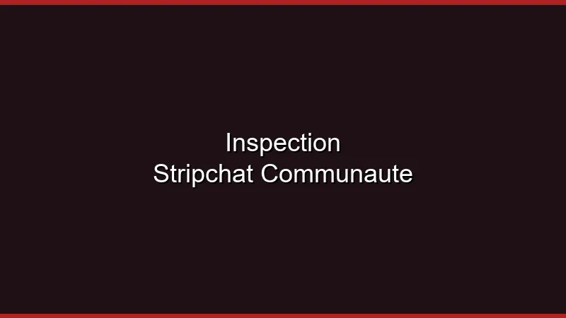 Inspection Stripchat : communauté et fonctionnalités